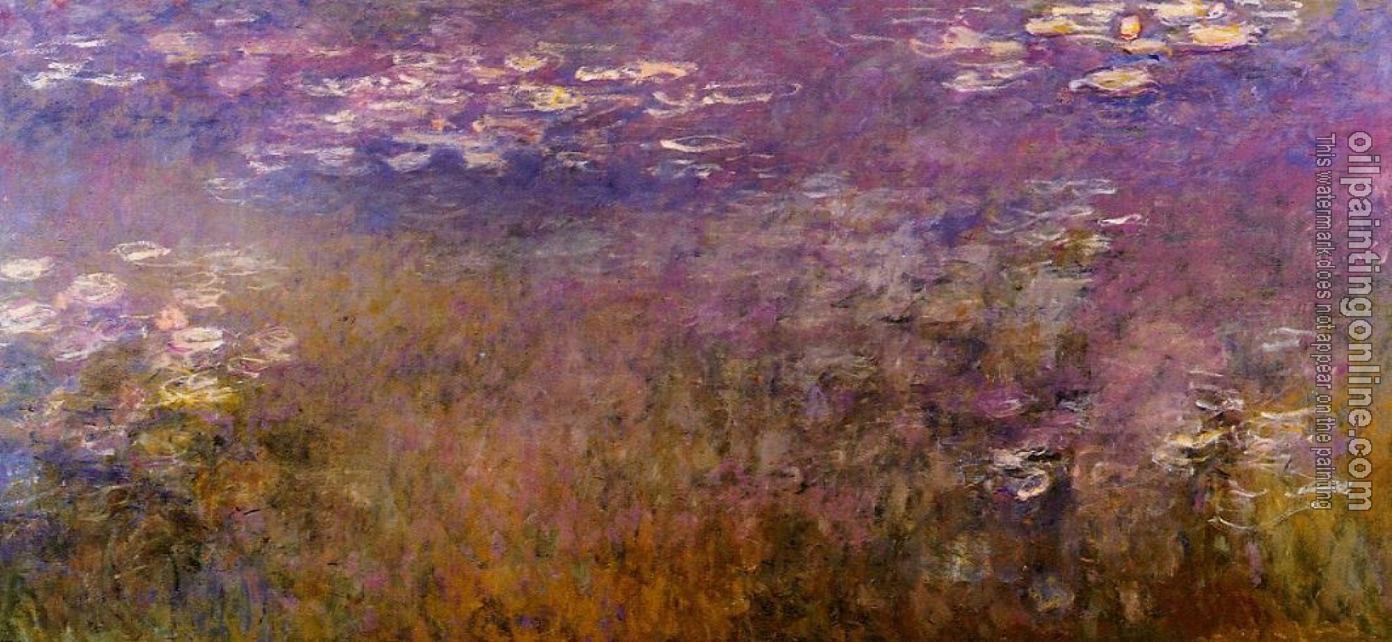 Monet, Claude Oscar - Agapanthus